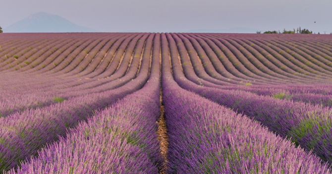 Parle Moi de Parfum посвятили новый аромат Провансу